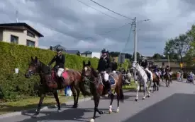 IMG_20250907_142533_1